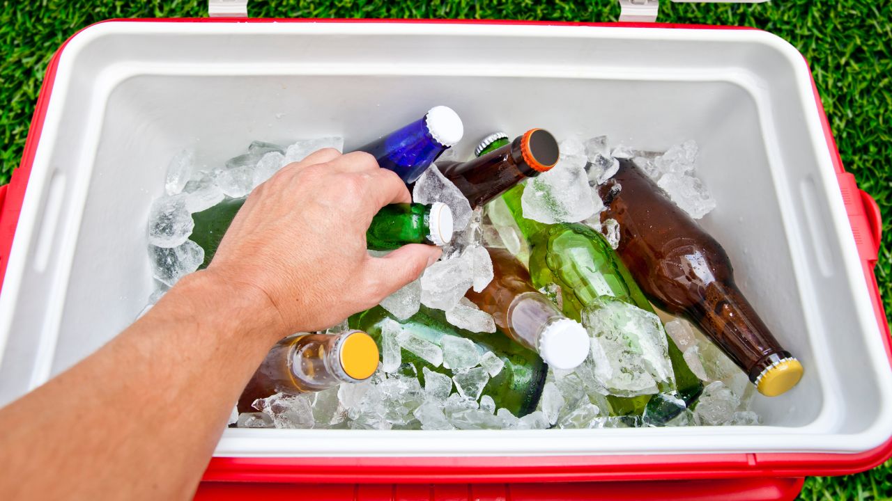 How to Scale Your Business with Bulk Ice Cooler Purchases?