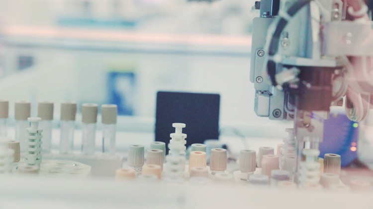 How to Evaluate SAMe Powder Suppliers for Bulk Supplement Ingredient Sourcing